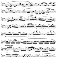 Andante e Valse de Concert - Flute