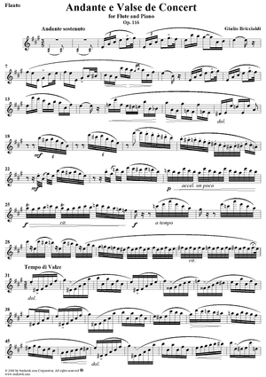 Andante e Valse de Concert - Flute