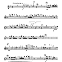 Operatic Rag - Flute