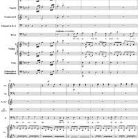 "Rivolgete a lui lo sguardo", aria, K584