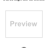 Du, du liegst mir in Herzen - Cornet