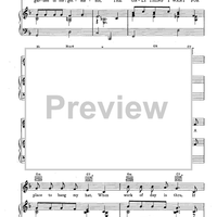 The Only Thing I Want for Christmas