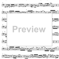 Eclipse - Bass Recorder