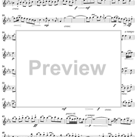 Trio Sonata in C Minor - Flute