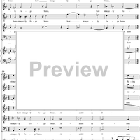 The Andalusian Merchant