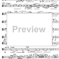 Sonata d minor - Viola