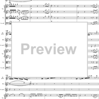 Flute Concerto No. 1 in G Major K285c (K313) - Full Score