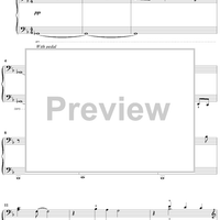 The John Dunbar Theme