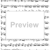 Sonata No. 9 in E Minor - Flute