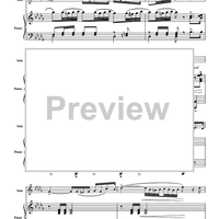 The Yellow Rose of Texas Variations - Piano Score