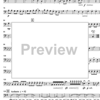 Fantasy - Double Bass