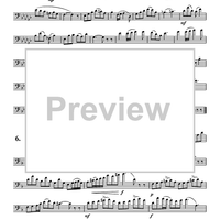 Solo Etudes for Euphonium - Euphonium