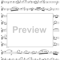 Trio in G major - Flute 1