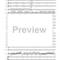 Violin Concerto in E Minor, Movement 1 - Full Score