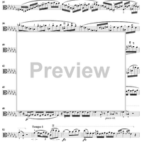 Caprice No. 13 from "Twenty-Four Caprices"