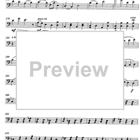 Carmen pro carmine - aria con variazioni - Cello