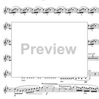 Quintet Op.43 - Clarinet in A