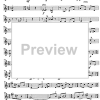 Godalni Quartet - Violin 2