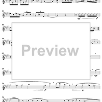 Impressions Of Summer