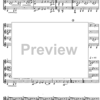 Divertimento preistorico - Score