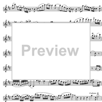 Concerto No. 3 G Major, KV216 - Violin