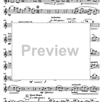 Música per a un estiu (Music for a Sommer) - Flute