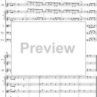 Concerto in E minor: Movement 1 - Full Score