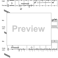 Sylvie et le paon - Percussion