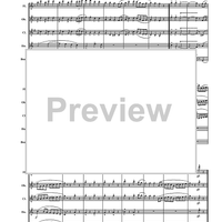 Turkey in the Straw - Score