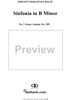 Sinfonia in B minor - No.1 from Cantata No. 209 - BWV209