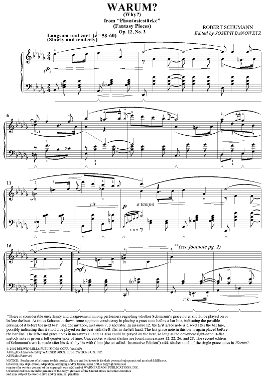 Warum?, Op. 12, No. 3