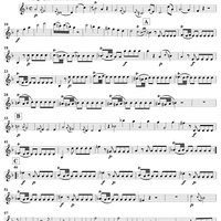 String Quartet No. 13 in D Minor, K173 - Violin 1