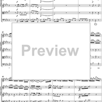 Violin Concerto No. 2 In E Major