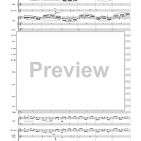 Harry Potter Symphonic Suite - Score