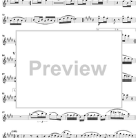 Variations on Trockne Blumen - Flute