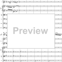 Brandenburg Concerto No. 4: Allegro - Score