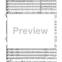 Double Concerto for Recorder and Flute in E minor - Score