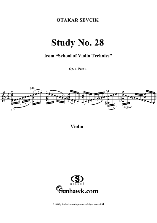 Study No. 28