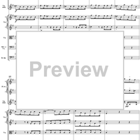Concerto in E minor: Movement 1 - Full Score