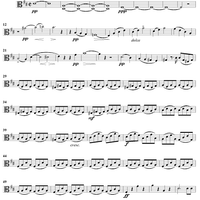 String Quartet No. 7 in D Major, D94 - Viola