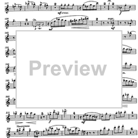 Music for wind quintet Op.20 - Flute