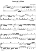 Sonata in D minor (K1)