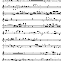 Concerto C Major KV299 - Flute