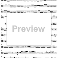 Concerto in D Minor - Viola 2