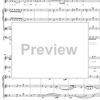 Mass No. 18 in C Minor, No. 5: Domine - Full Score