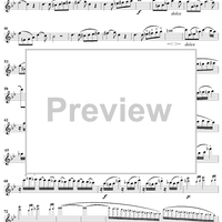 Divertissement sur un Theme de Donizetti    - op. 60 - Flute