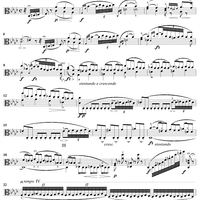 Caprice No. 20 from "Twenty-Four Caprices"