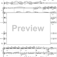 Oboe Concerto in C Major, HobVIIg/C1 Movement 2 - Full Score
