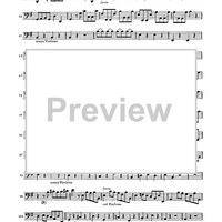 Double Concerto for Recorder and Flute in E minor - Basso Continuo