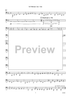The Wellerman Come - Tuba